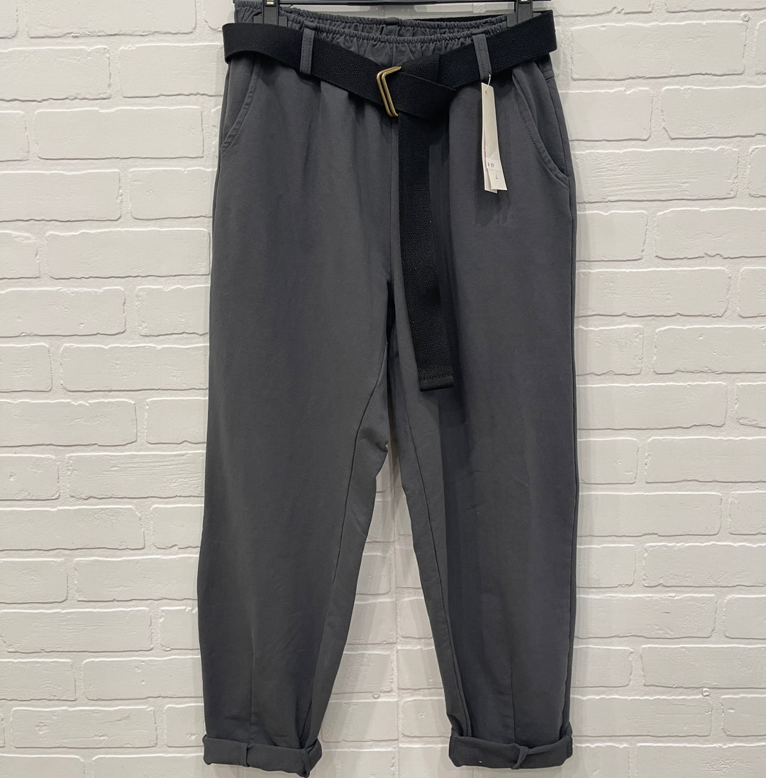 Ensemble intelligent Bonita