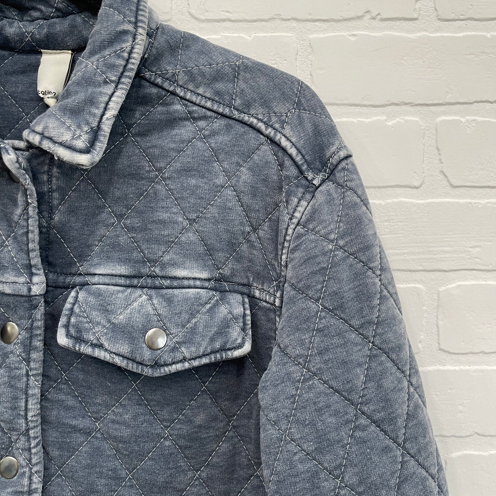 Veste Lévie
