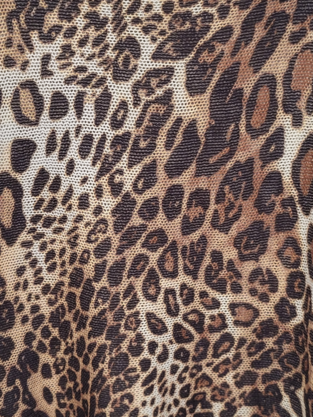 Cheetah batwing sweater