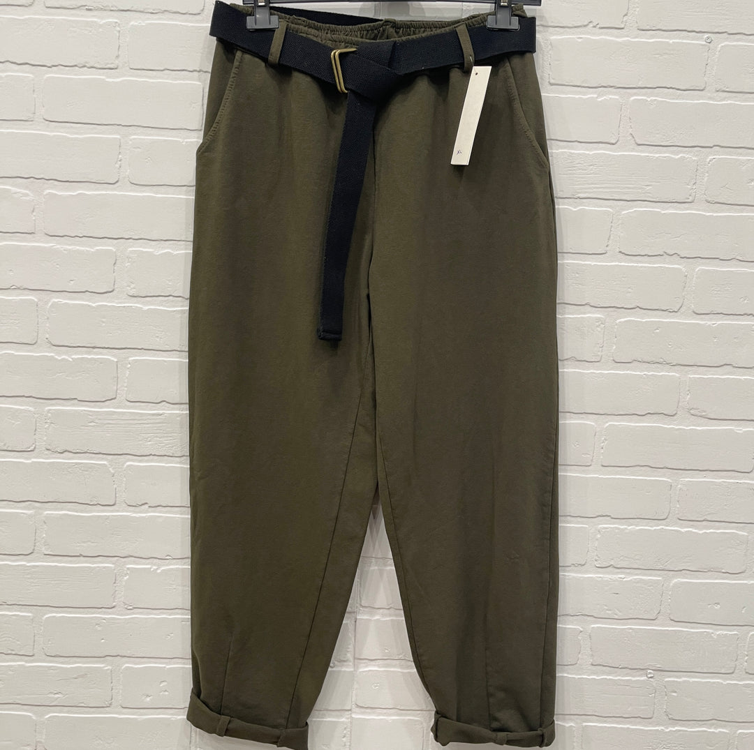 Ensemble intelligent Bonita