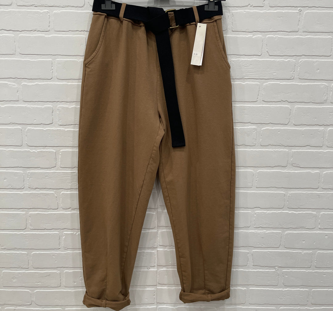 Ensemble intelligent Bonita