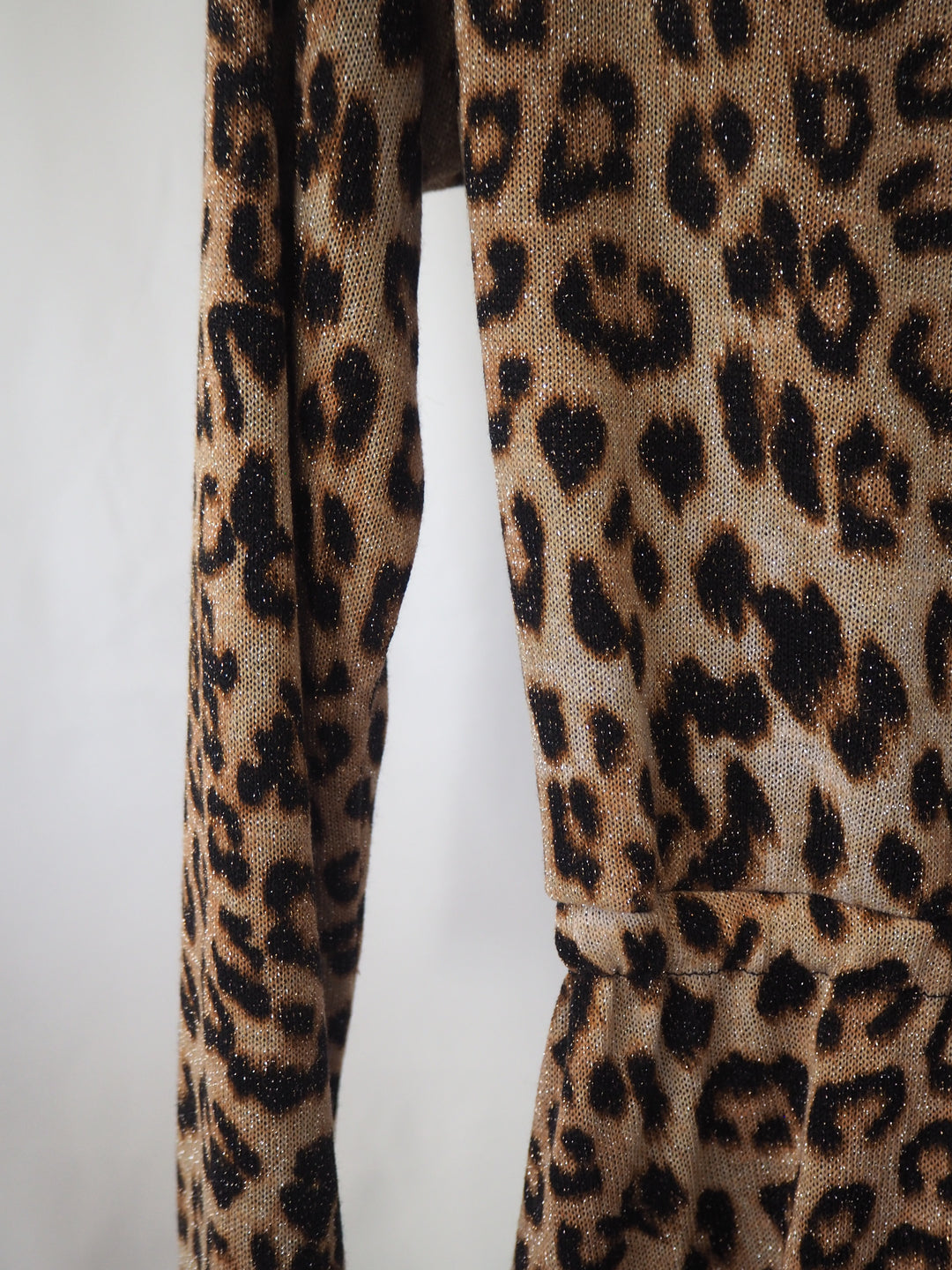 Charlotte  Leopard Dress