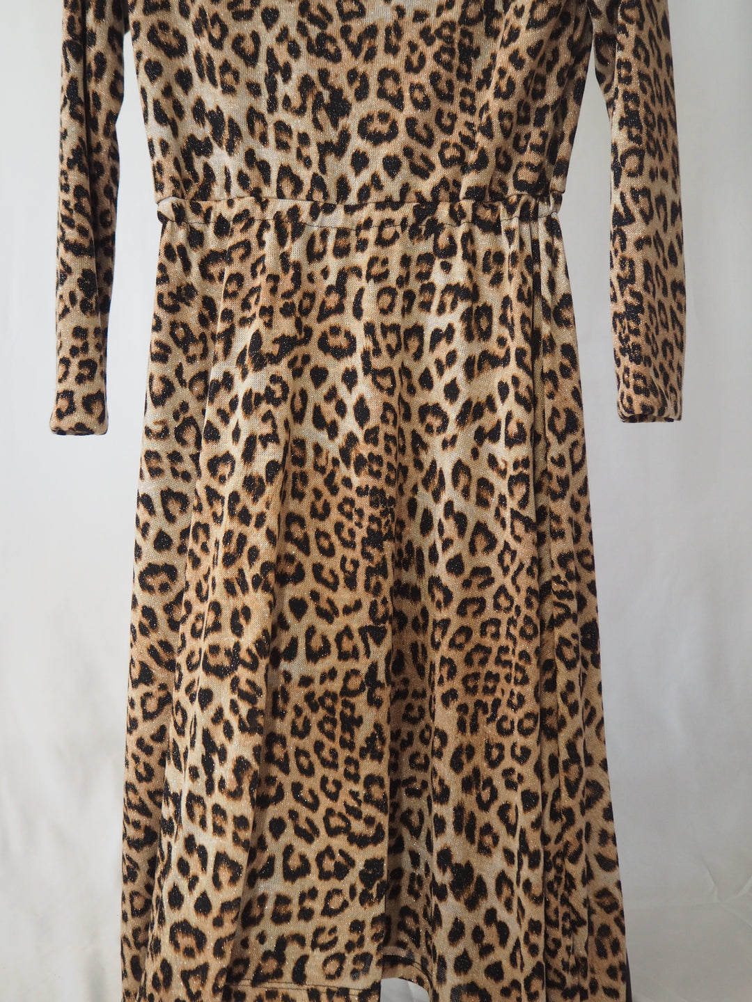 Charlotte  Leopard Dress