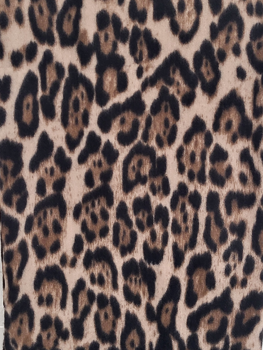 Wild Shawl