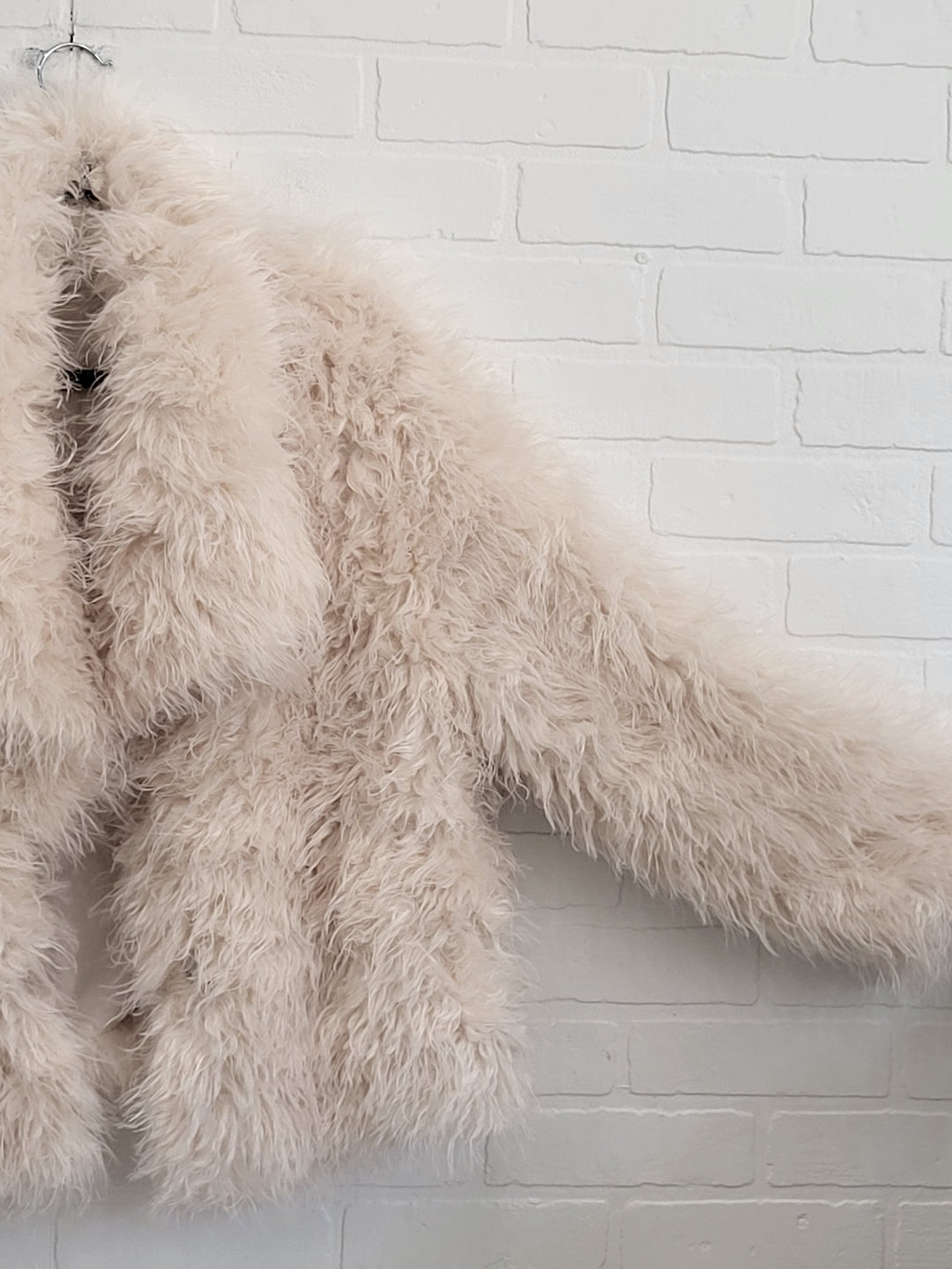 Shaggy Coat