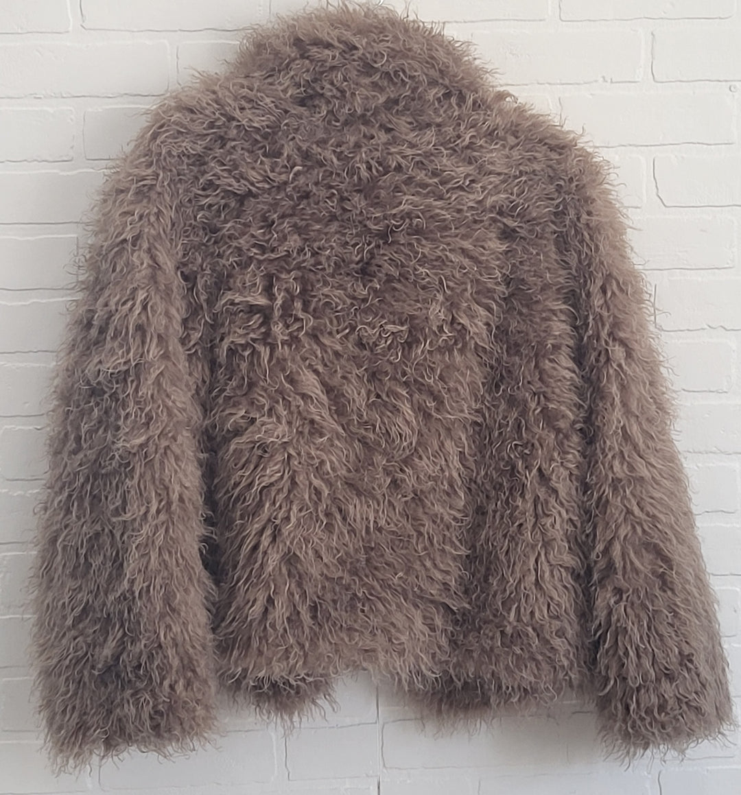 Shaggy Coat