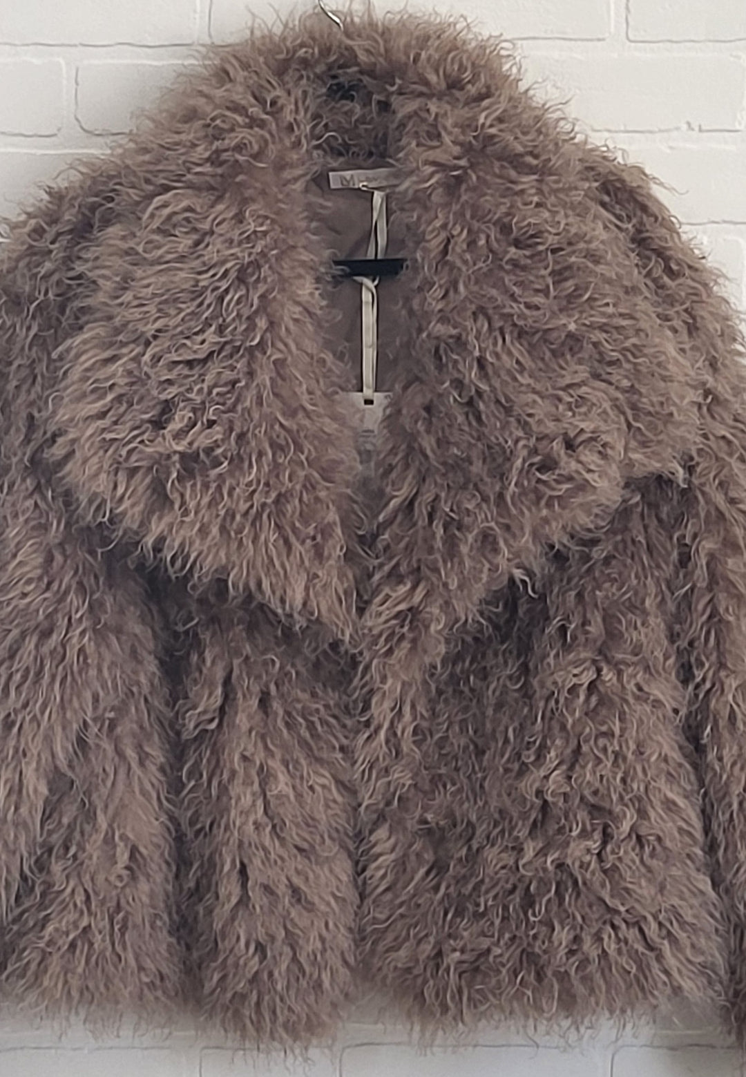Shaggy Coat