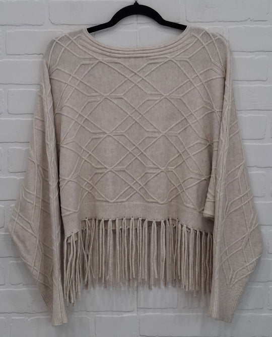 Fringe Sweater & Tulle Dress Set